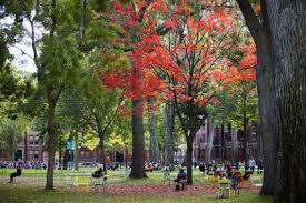 harvard