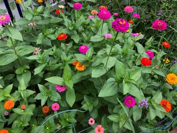 4E32ED82-A492-4718-8018-274E1123AE81