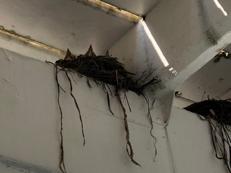 0C16BA7F-1FD5-43DF-85BB-2FC17D0CADE4