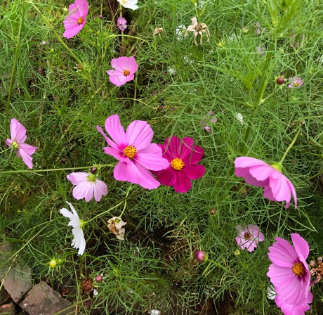 EEE8CC74-FE22-4EF6-AD7D-28DFE3D50004