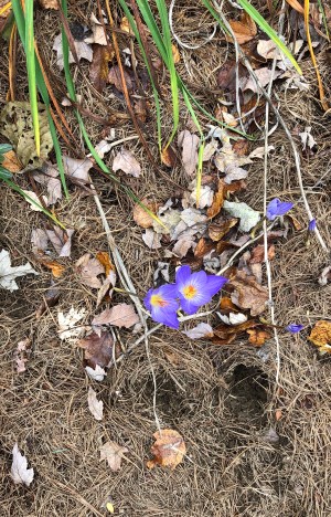 F9E501CD-1F72-4C86-BD73-80DA494CADBC