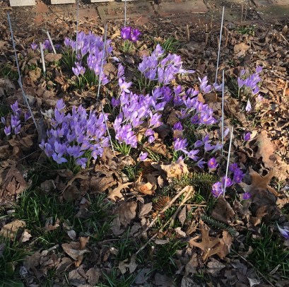 E058C54D-A948-4D23-A8C2-3CF14597D4D4