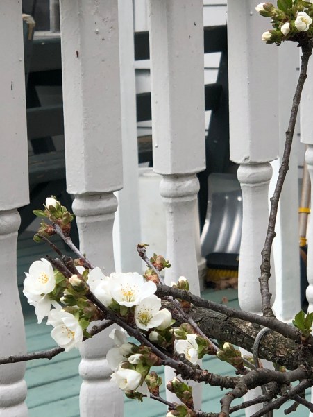 F94227F4-B10E-4AF8-989C-3C9424A0A4FB